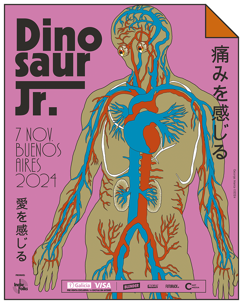 flyer dinosaur jr.