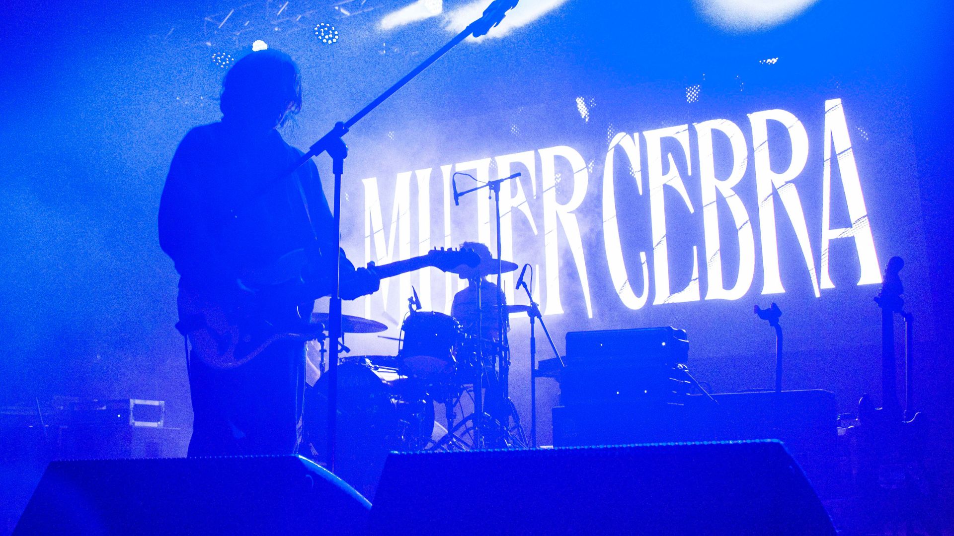 alerta rock volumen 1 mujer cebra