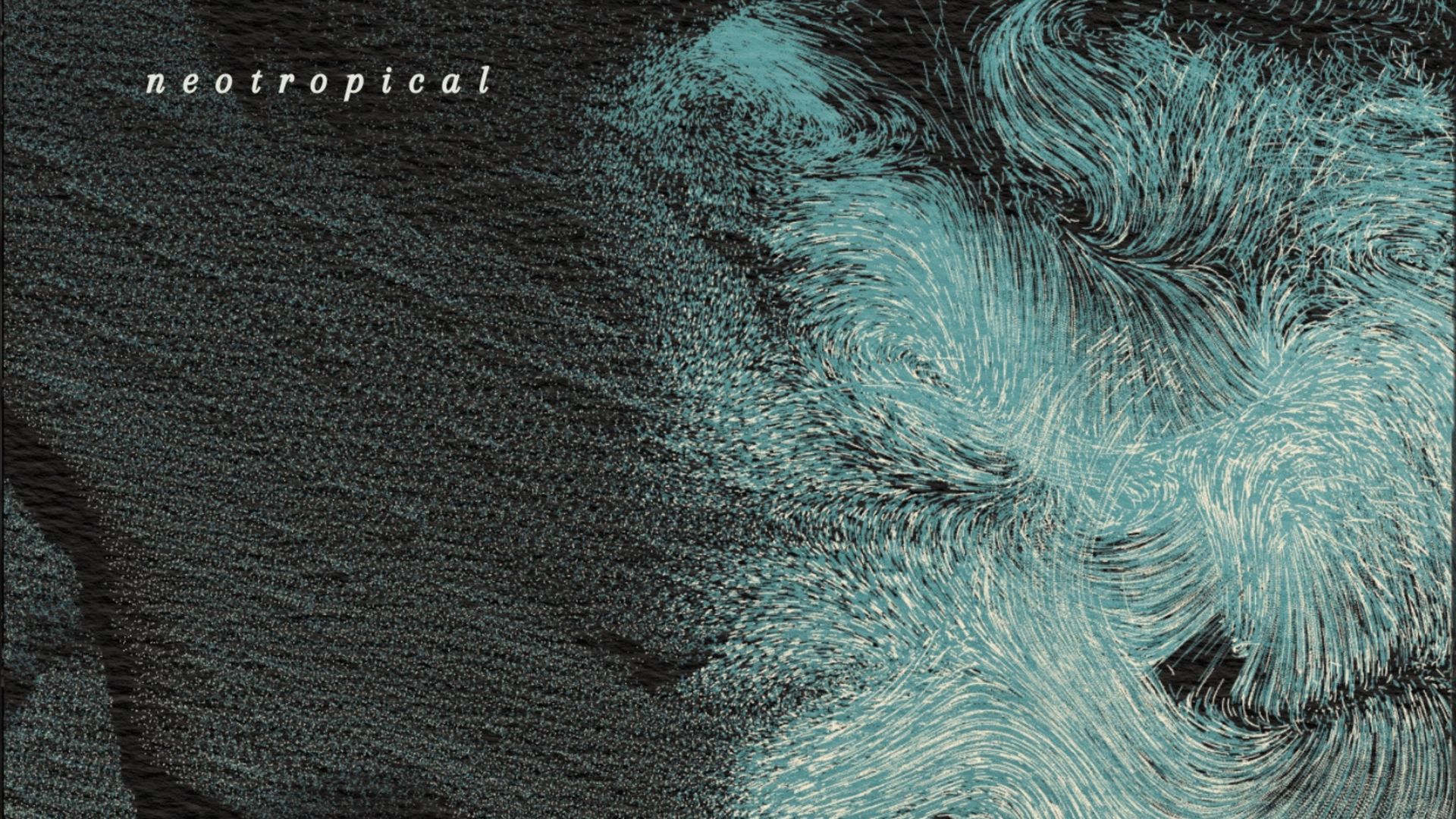 neotropical costas