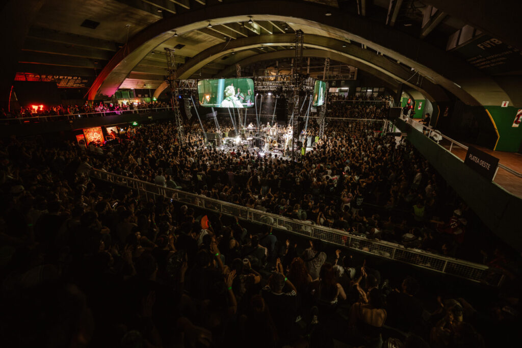 Cindy Cats Microestadio Ferro