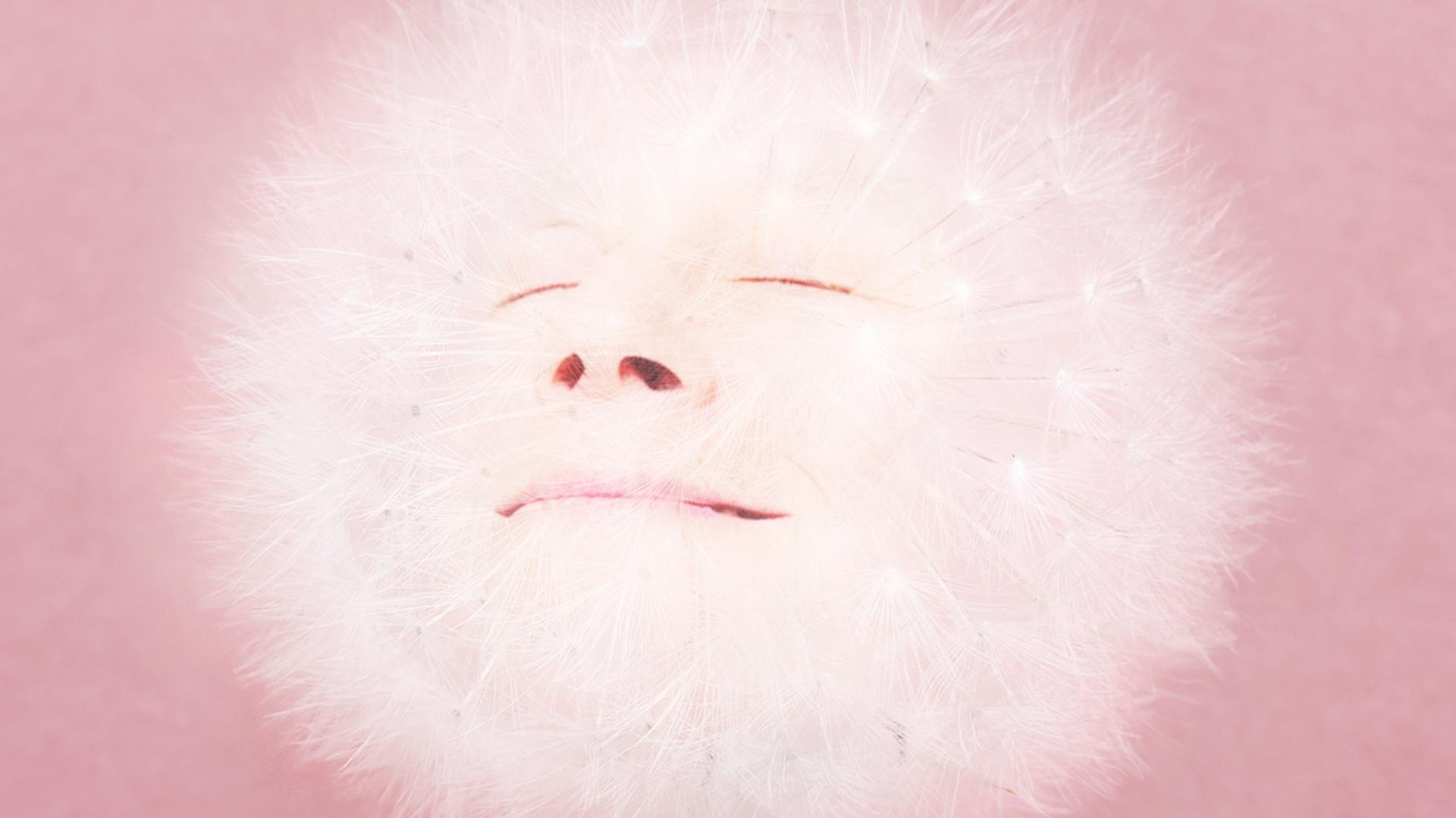 juana molina siestas ahí