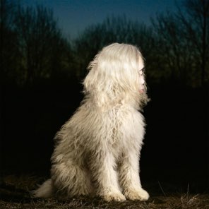 doga juana molina 13