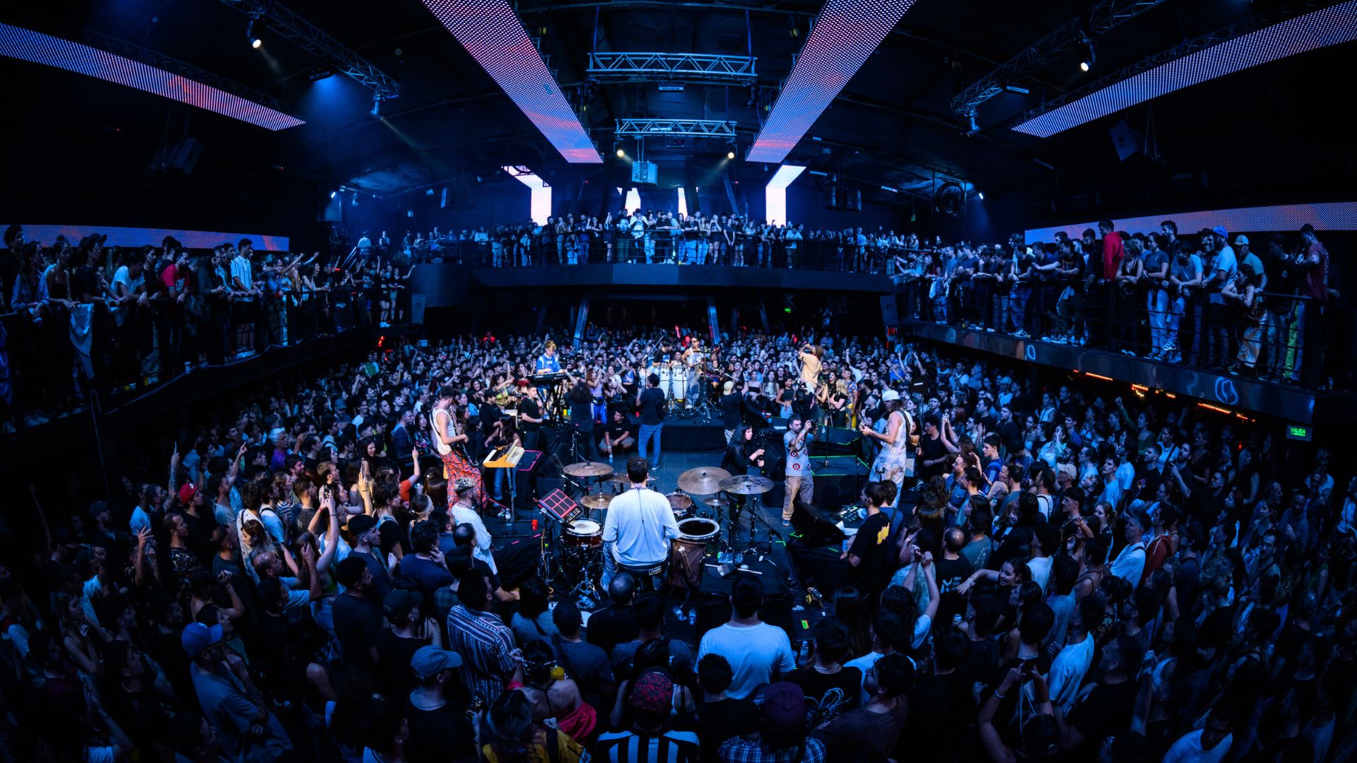 Cindy Cats Madrugada