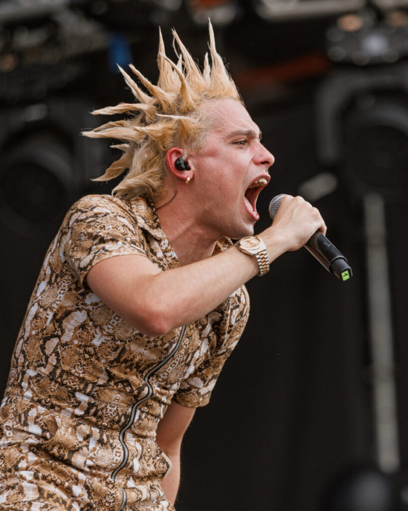 marttein lollapalooza 2026