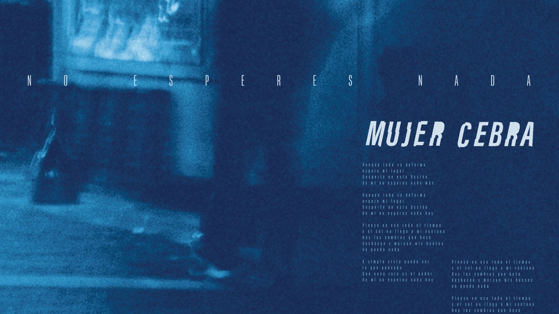 mujer cebra no esperes nada