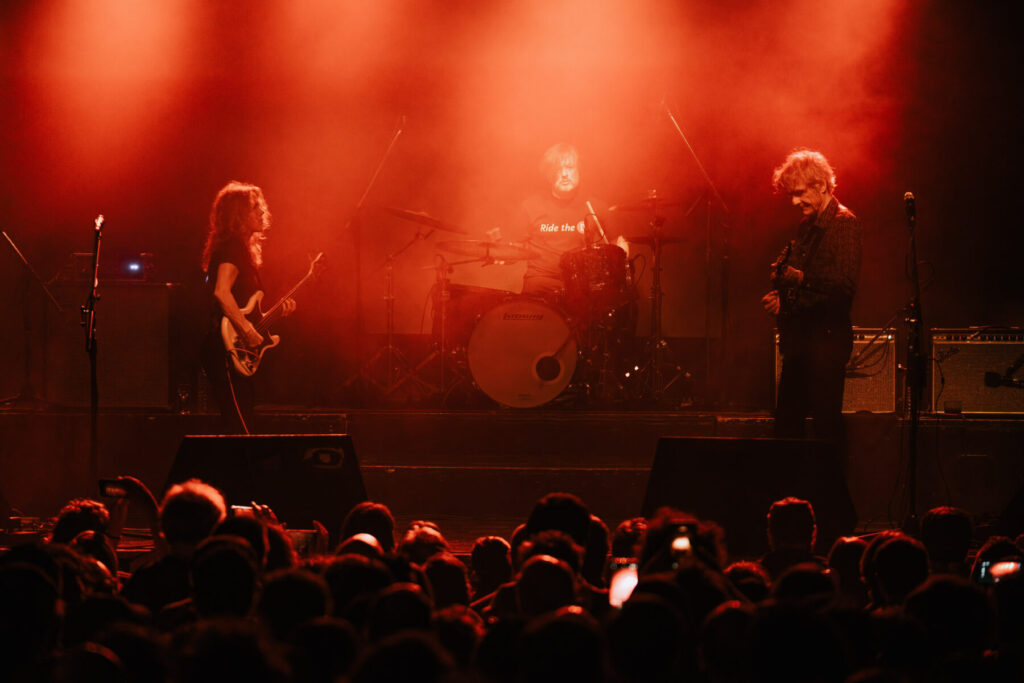 DEAN WAREHAM Niceto