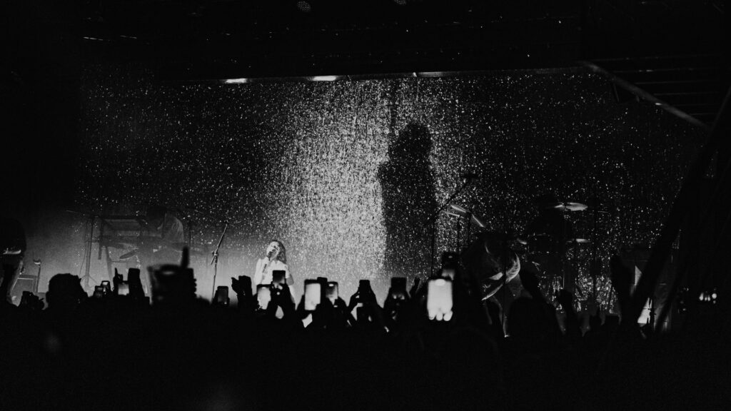 wolf alice c art media