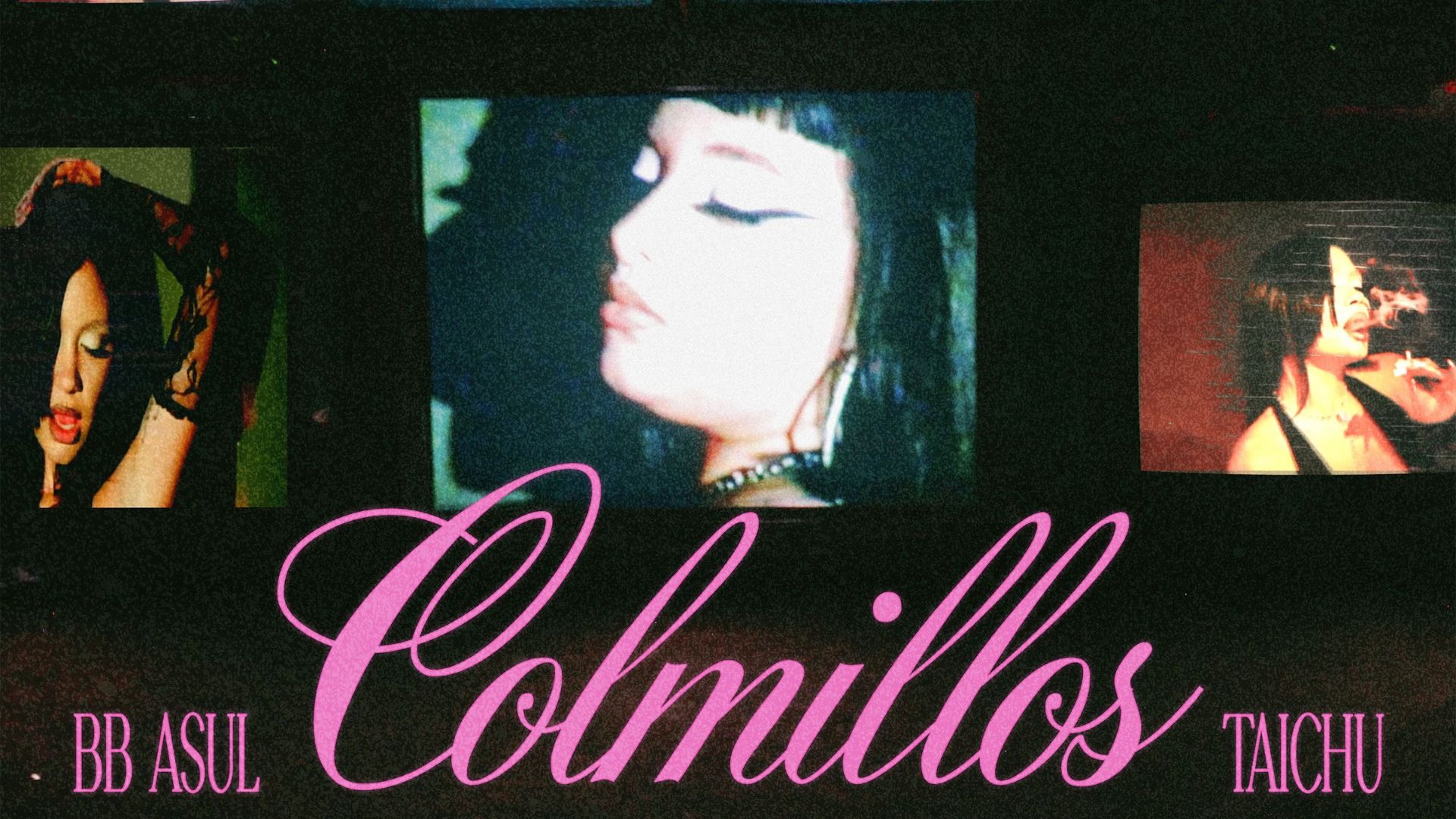 colmillos bb asul taichu