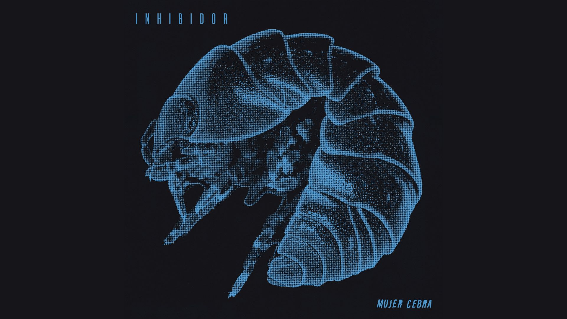 mujer cebra inhibidor