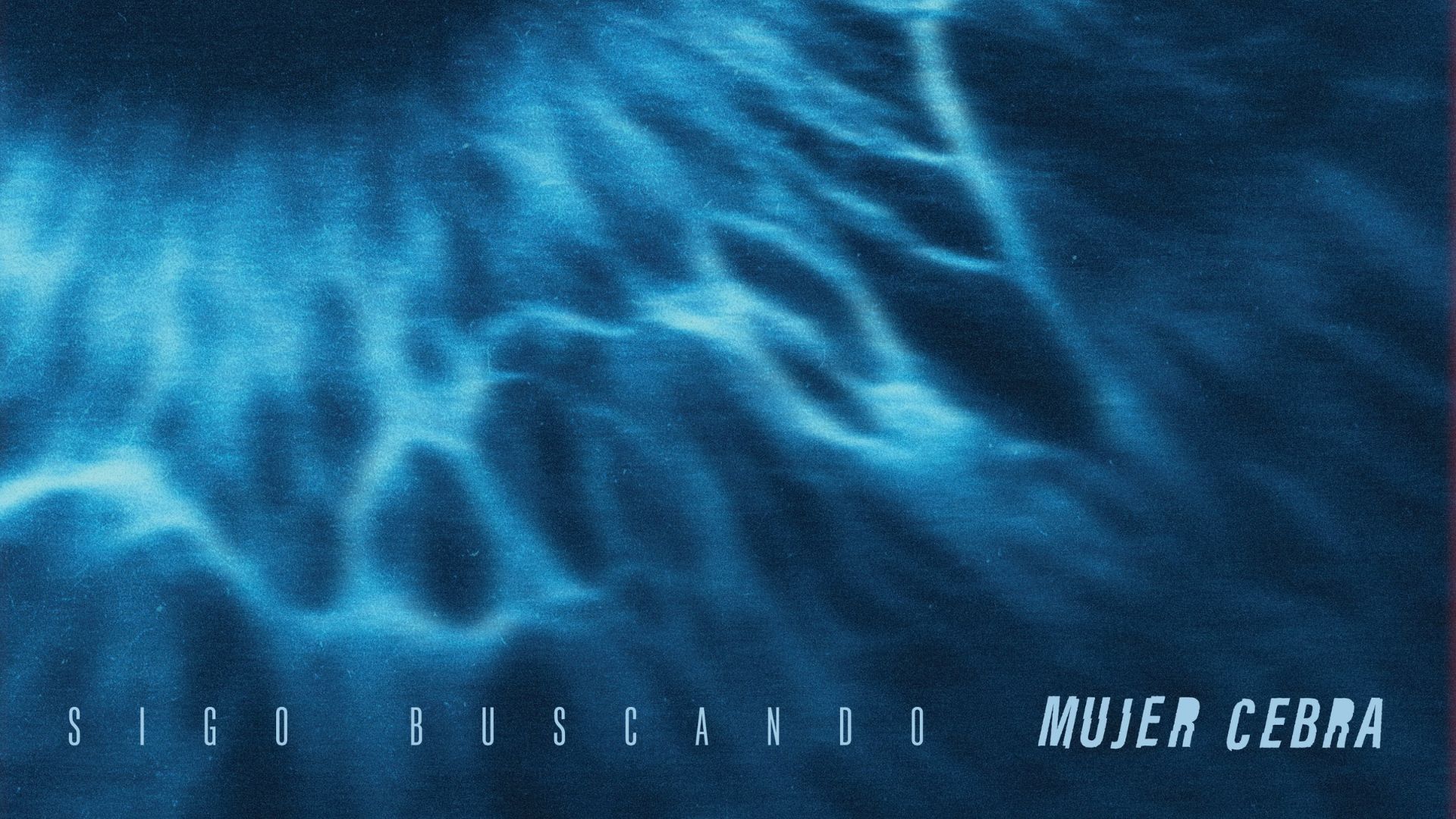 sigo buscando mujer cebra