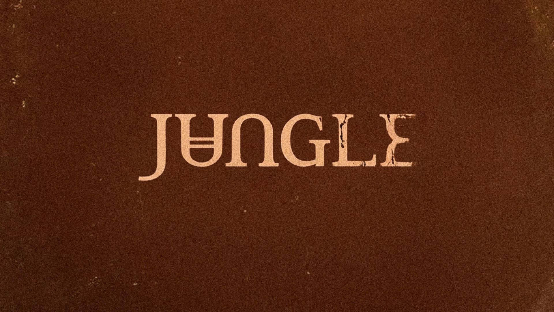 jungle sunshine