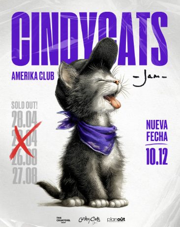 Cindy Cats Amerika