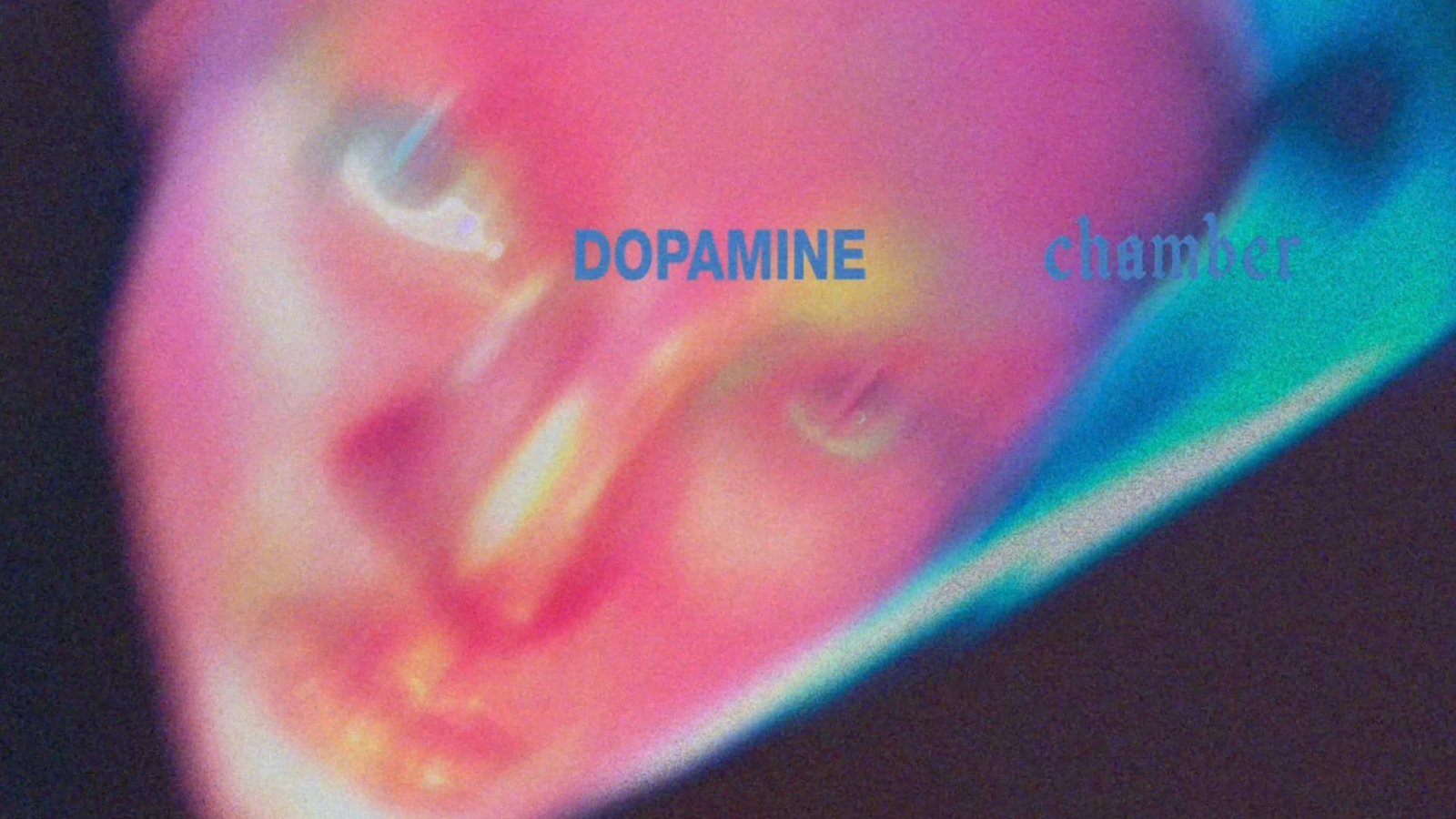 Fontaines D.C. dopamine chamber
